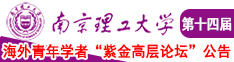 抽插律动美女南京理工大学第十四届海外青年学者紫金论坛诚邀海内外英才！